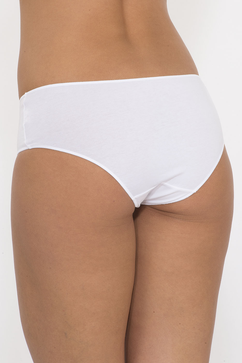 Basic Kadın Pamuk 3 lü Slip Külot