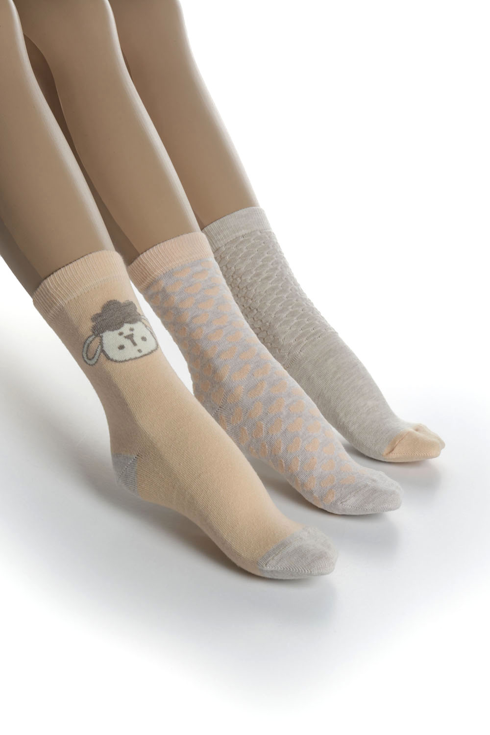 Hays Cookie Kutulu 3lü Pamuklu Kadın Çorap